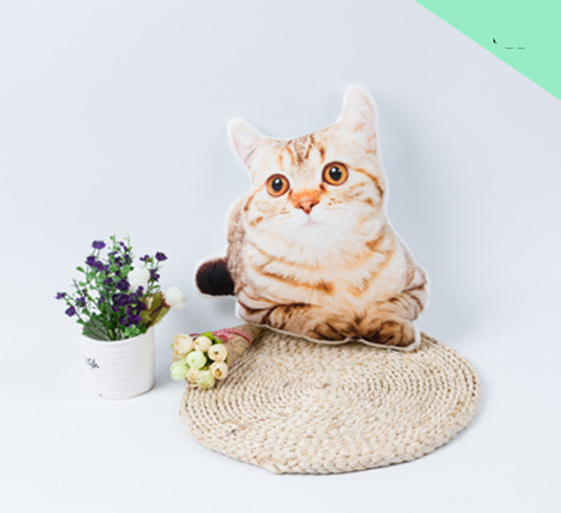 Diy Customized Pillow 3d Photos Customized Pet Pillow - [[{"value":"{{ Babyvera Babyvera  }}"}]]