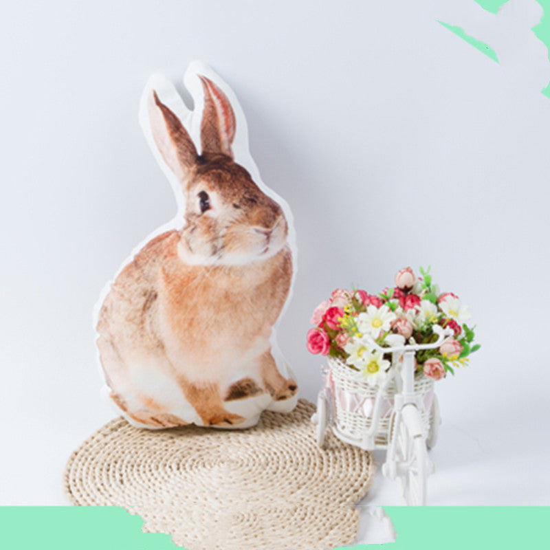 Diy Customized Pillow 3d Photos Customized Pet Pillow - [[{"value":"{{ Babyvera Babyvera  }}"}]]