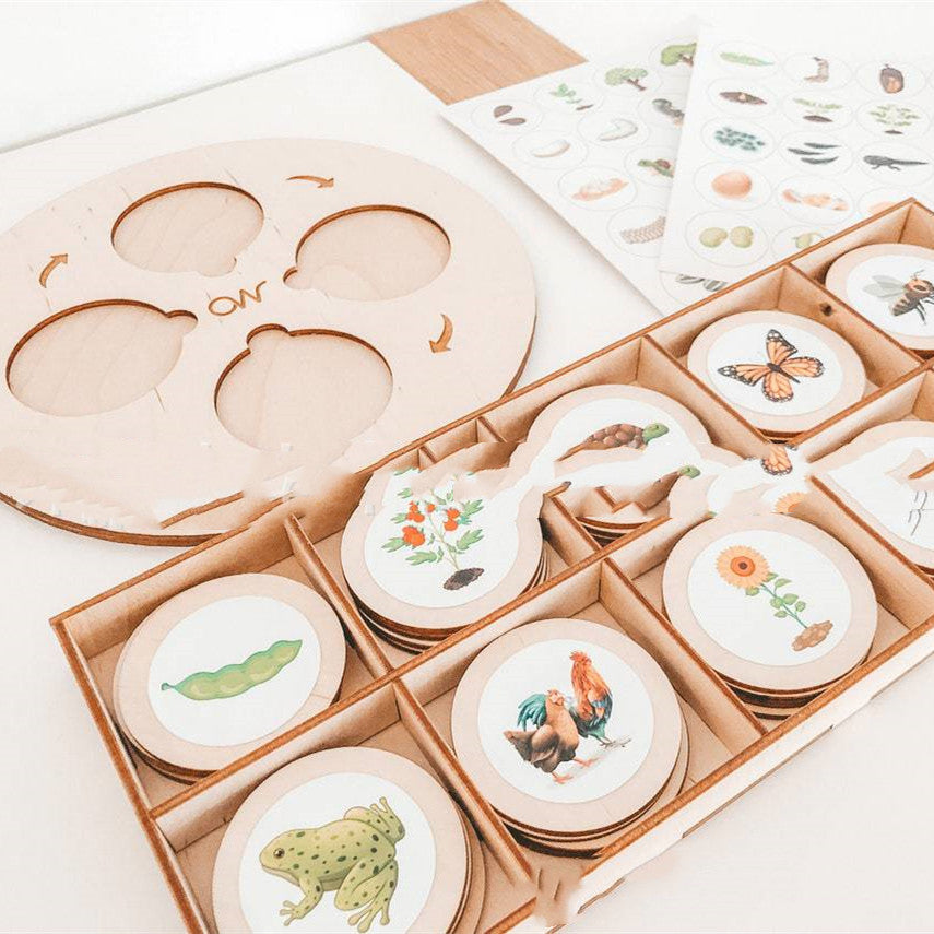 Montessori Life Cycle Tray Play Set - [[{"value":"{{ Babyvera Babyvera  }}"}]]