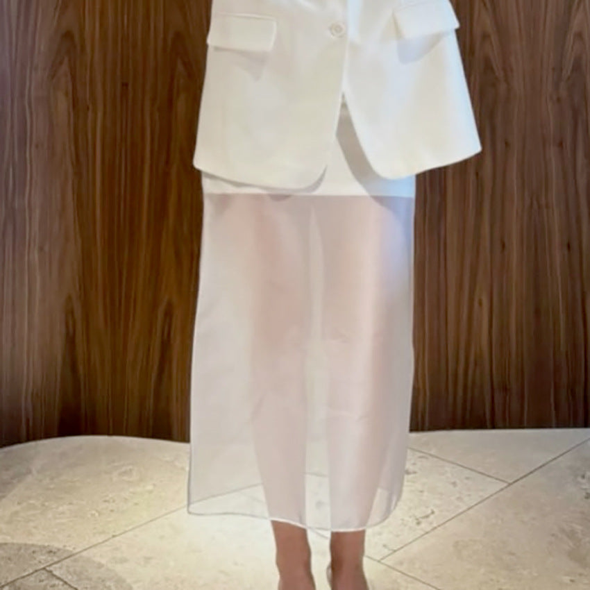 Designer-style Sheer High-waist Skirt For Women - [[{"value":"{{ Babyvera Babyvera  }}"}]]