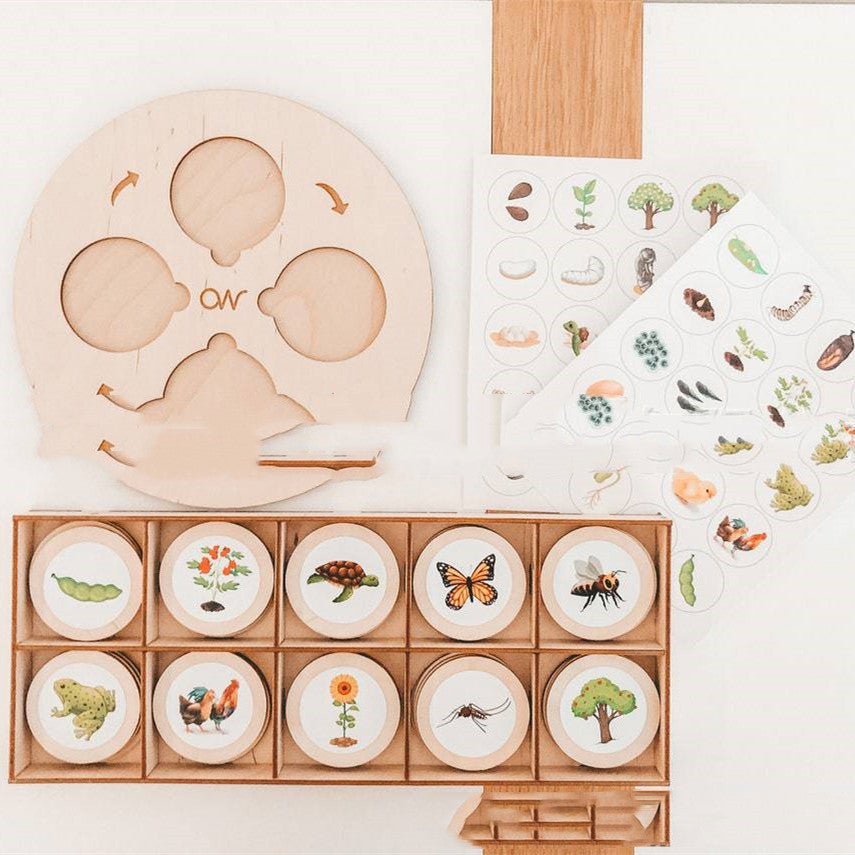 Montessori Life Cycle Tray Play Set - [[{"value":"{{ Babyvera Babyvera  }}"}]]