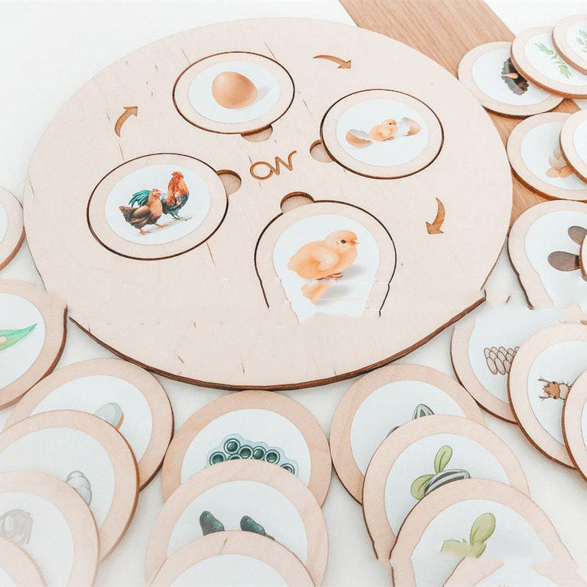 Montessori Life Cycle Tray Play Set - [[{"value":"{{ Babyvera Babyvera  }}"}]]