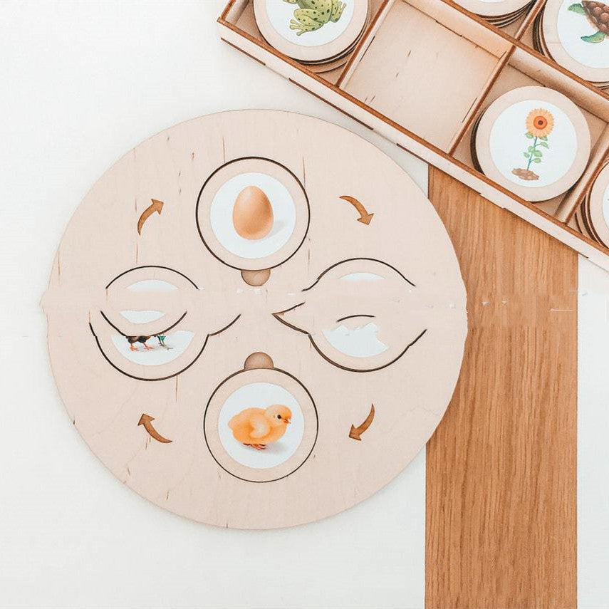Montessori Life Cycle Tray Play Set - [[{"value":"{{ Babyvera Babyvera  }}"}]]